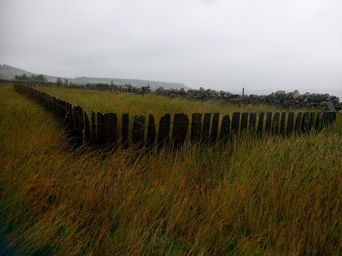 Mynydd Llandegai