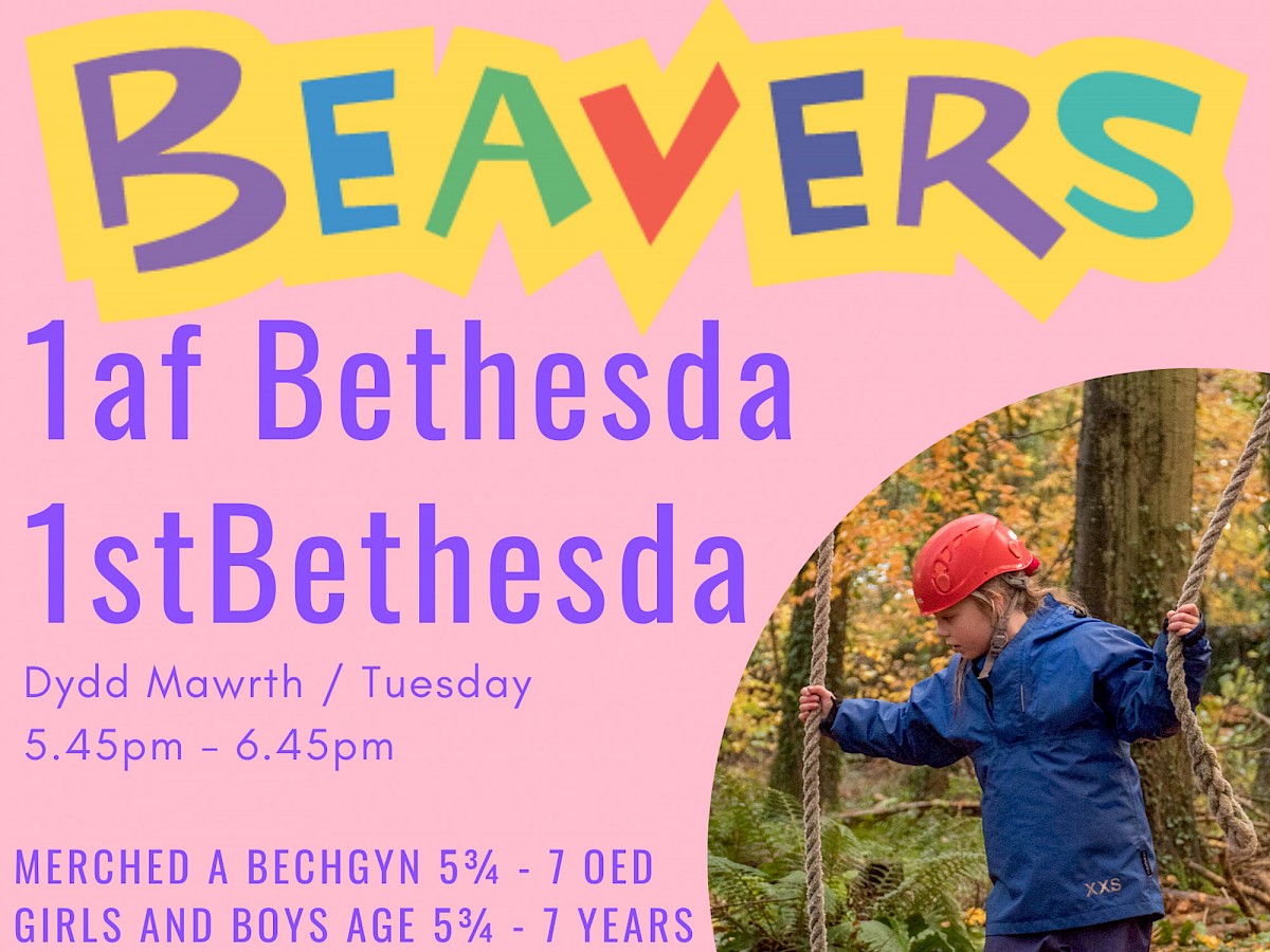 1af Bethesda Cubs a Beavers