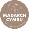 Madarch Cymru