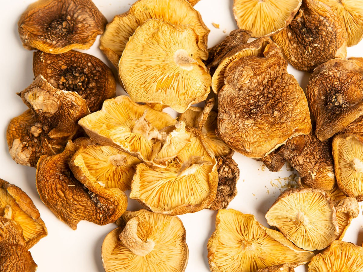 Madarch Shiitake Sych